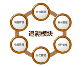 商品二维码质量追溯后台管理系统定制开发